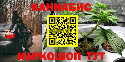 spice Аргун