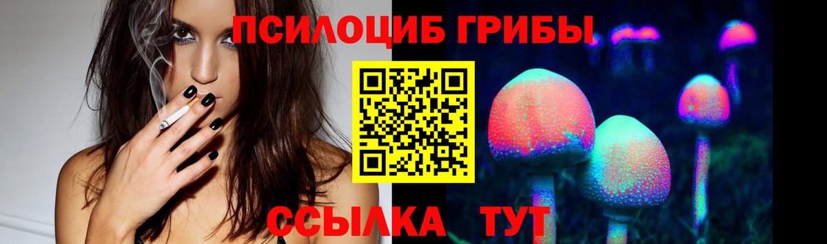 Псилоцибиновые грибы Psilocybe Балаково